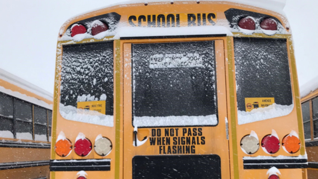 Foggy Conditions Force School Bus Cancellations in Essex County, Ontario