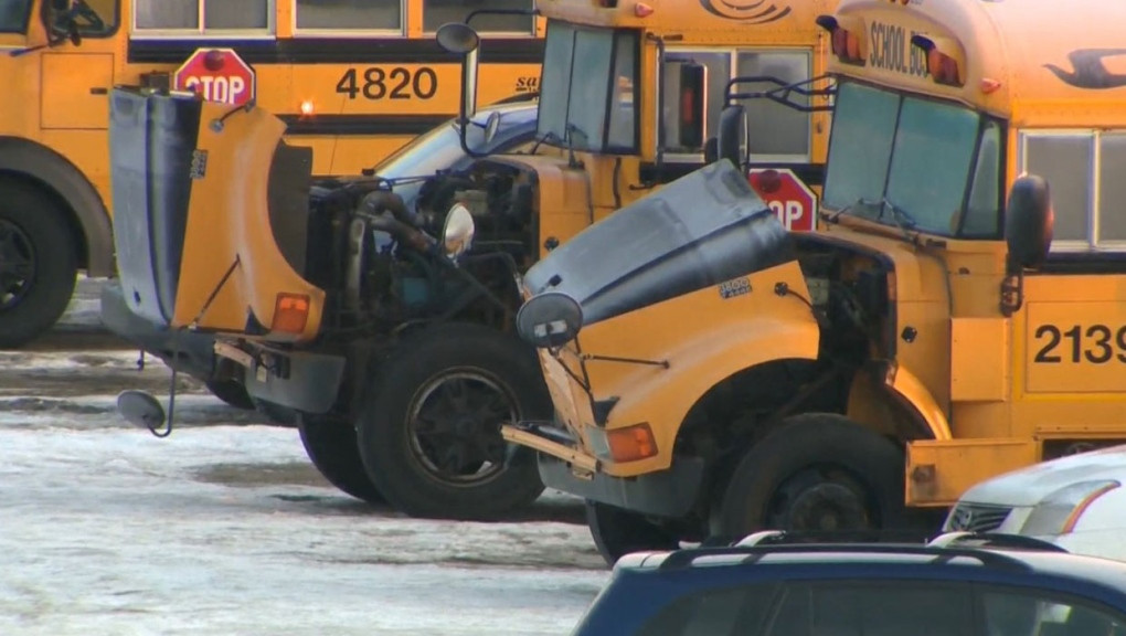 Foggy Conditions Force School Bus Cancellations in Essex County, Ontario