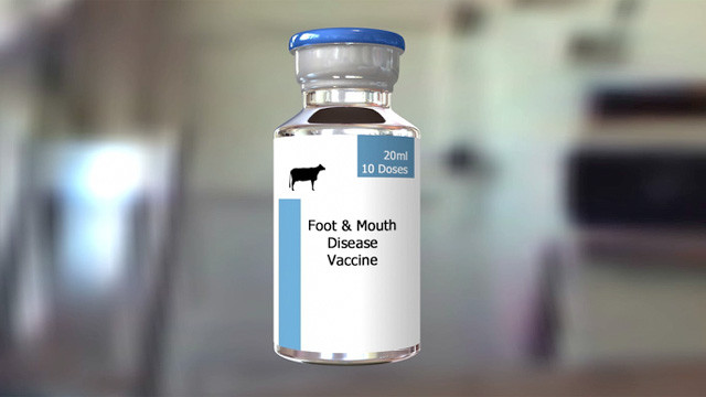 Foot and Mouth Disease Vaccine Market Booming: $5.6 Billion Projected by 2030