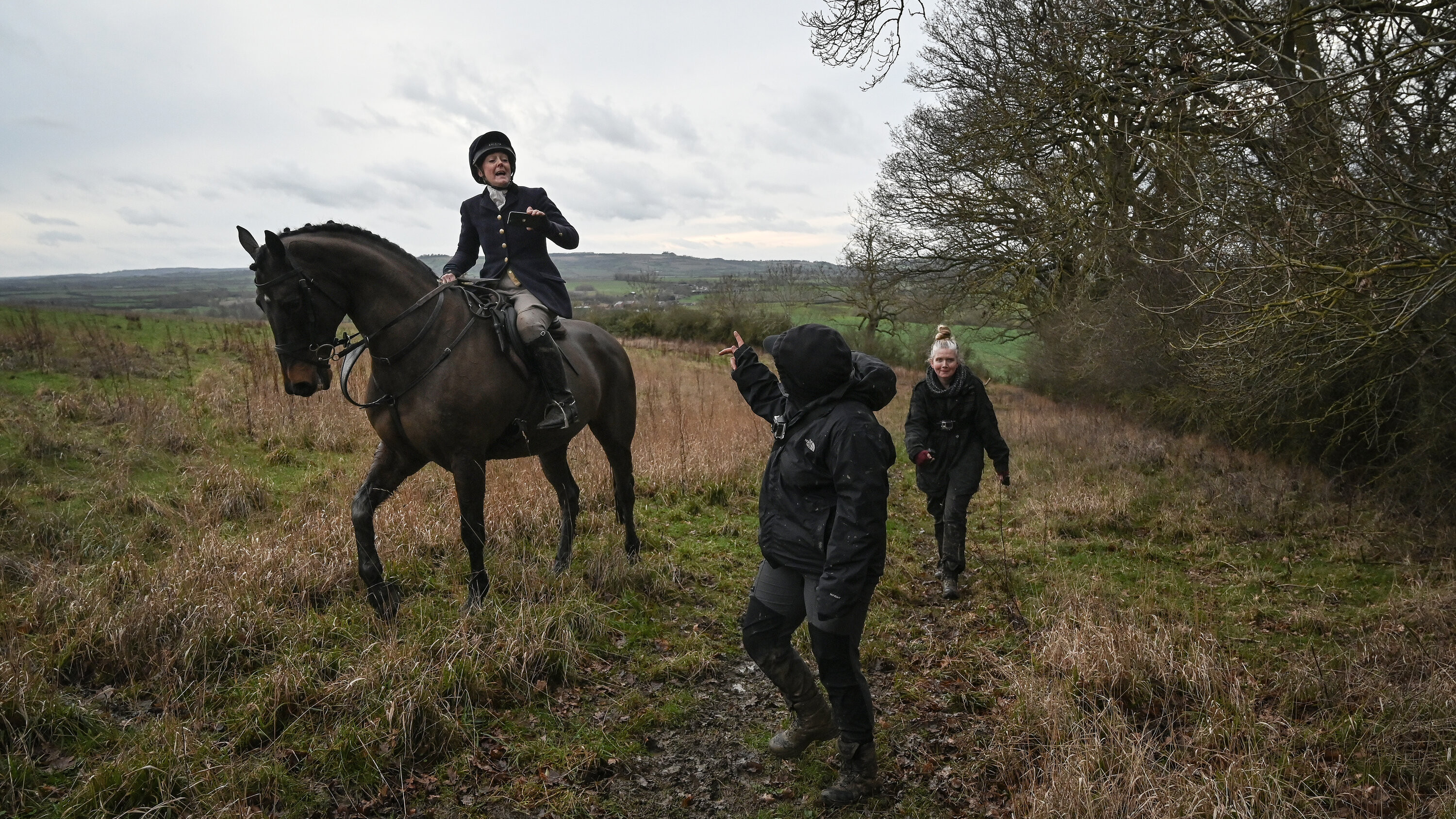 Fox Hunting Loophole in Scotland: Are Hunts Exploiting a New Licensing Scheme?