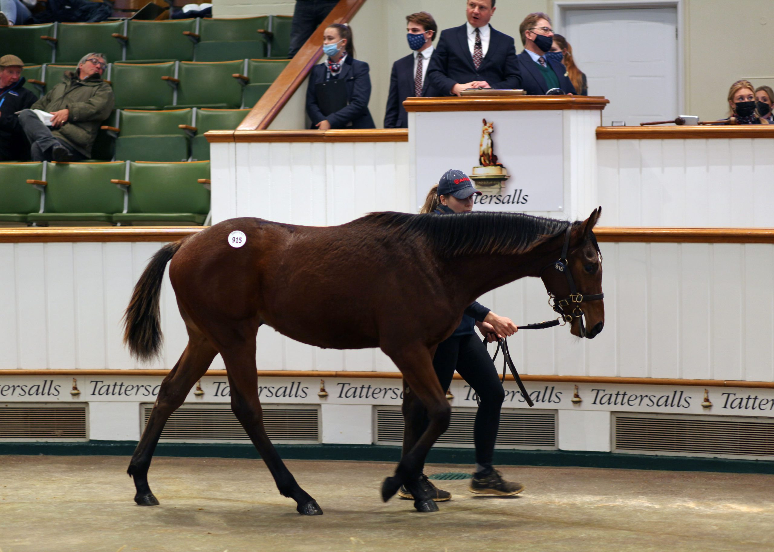 Frankel Full-Sister to Classic Winner Chaldean to be Offered at Tattersalls December Foal Sale