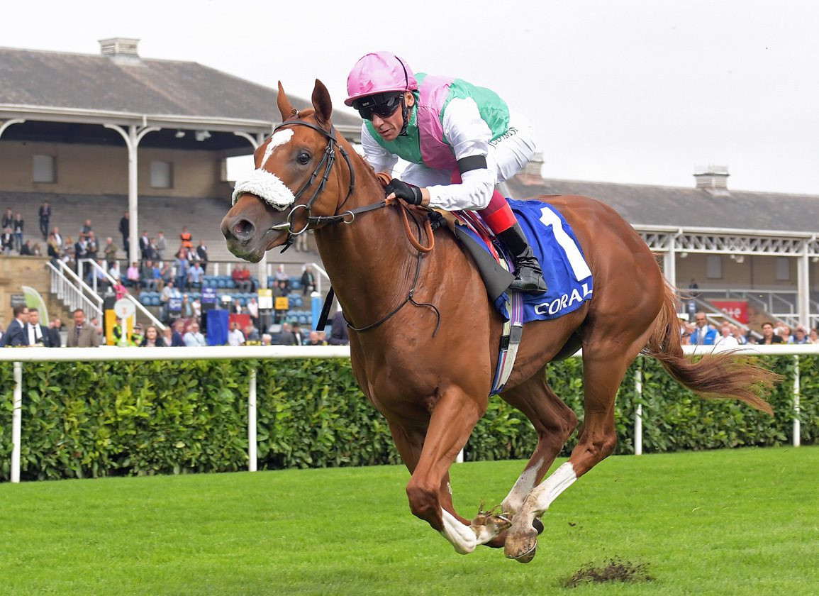 Frankel Full-Sister to Classic Winner Chaldean to be Offered at Tattersalls December Foal Sale