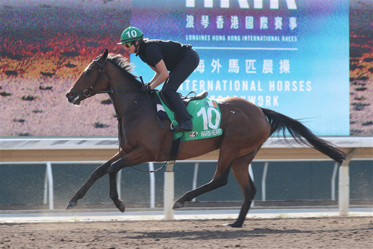 Giavellotto's Stunning Victory: British Horse Wins Hong Kong Vase After 12-Year Drought!