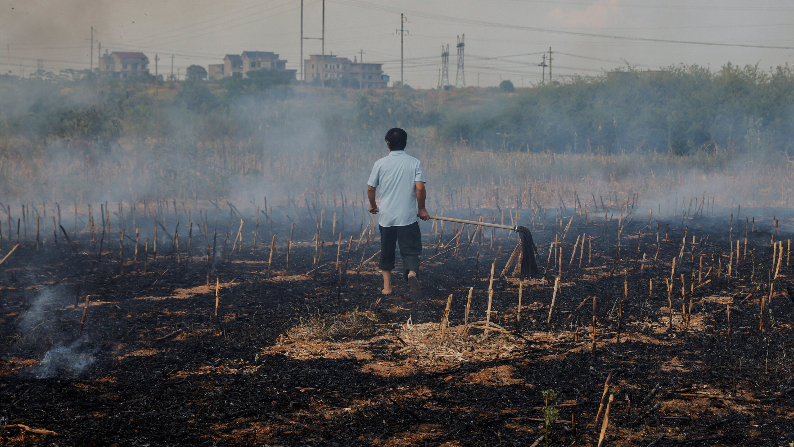 Global Banks Falling Short on Climate Change Goals, Study Finds