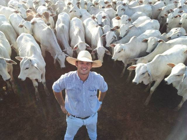 Global Beef Prices Soar: US Cattle Shortages Fuel Record Australian Exports