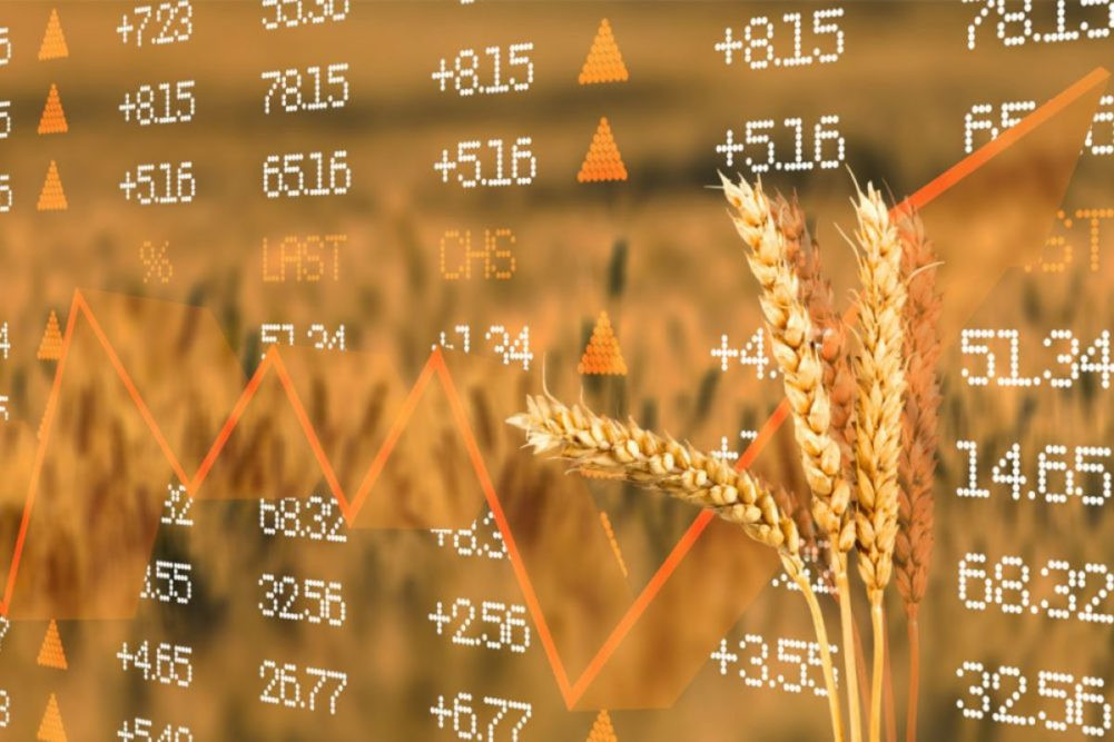 Grain Prices Rebound After Bottoming Out: UK Feed Wheat Futures Rise Close to £2/t