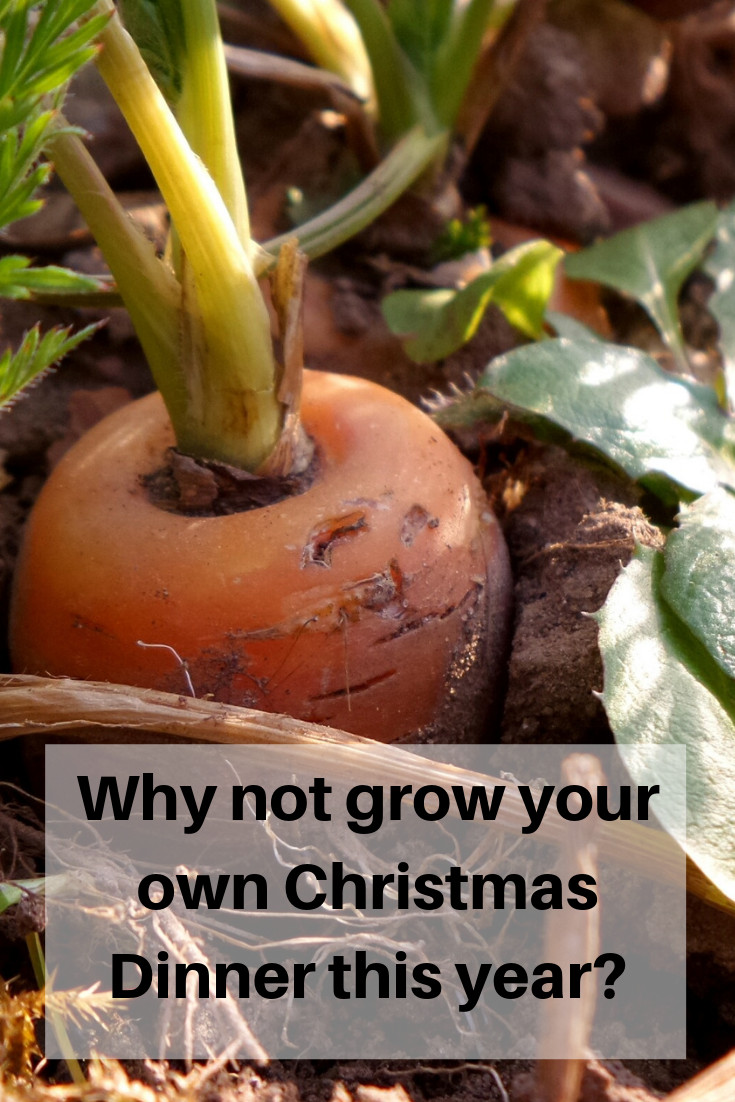 Grow Your Own Christmas Dinner: 3 Vegetables You NEED to Plant NOW