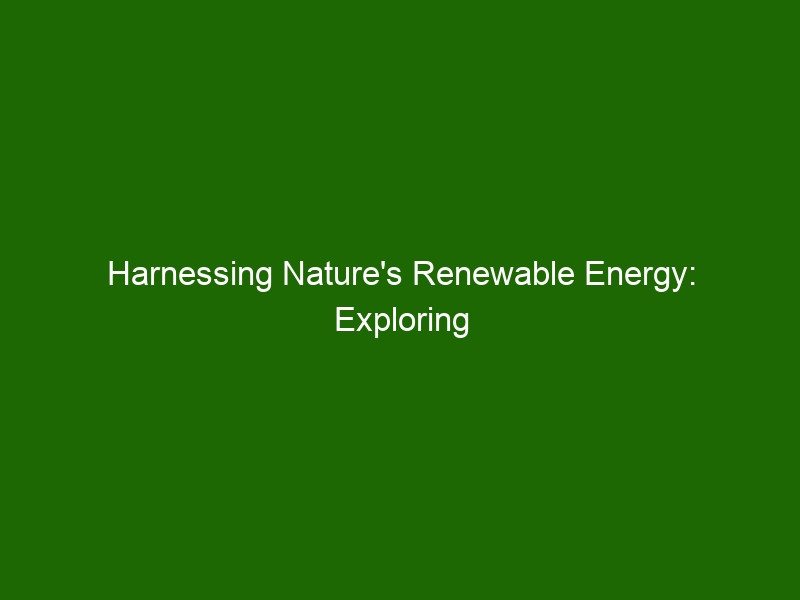 Harnessing Nature's Power: How Indigenous Knowledge Is Revolutionizing Climate Solutions in the Arctic