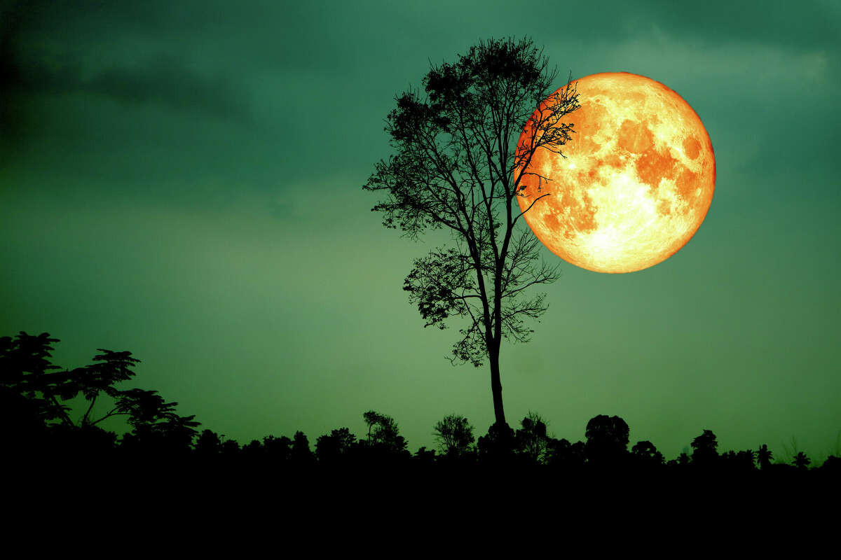 Harvest Moon, Blood Moon, Supermoon: Rare Celestial Event Tonight