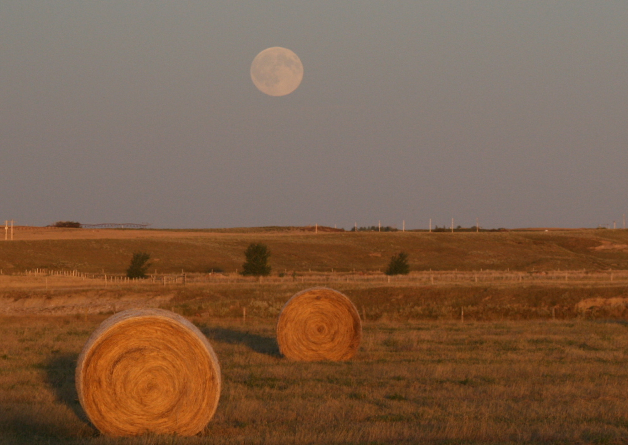 Harvest Moon, Supermoon & Blood Moon: 3 Celestial Events Align Tonight in Rare Sight