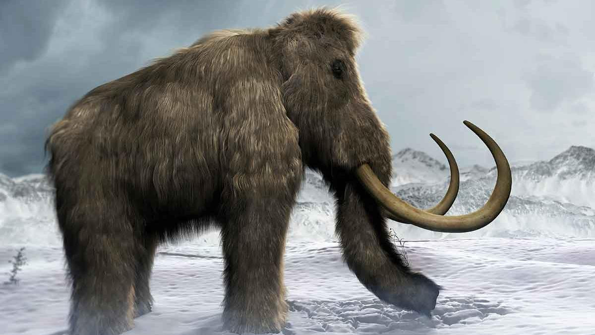 Hay Fever May Be the Reason Woolly Mammoths Went Extinct