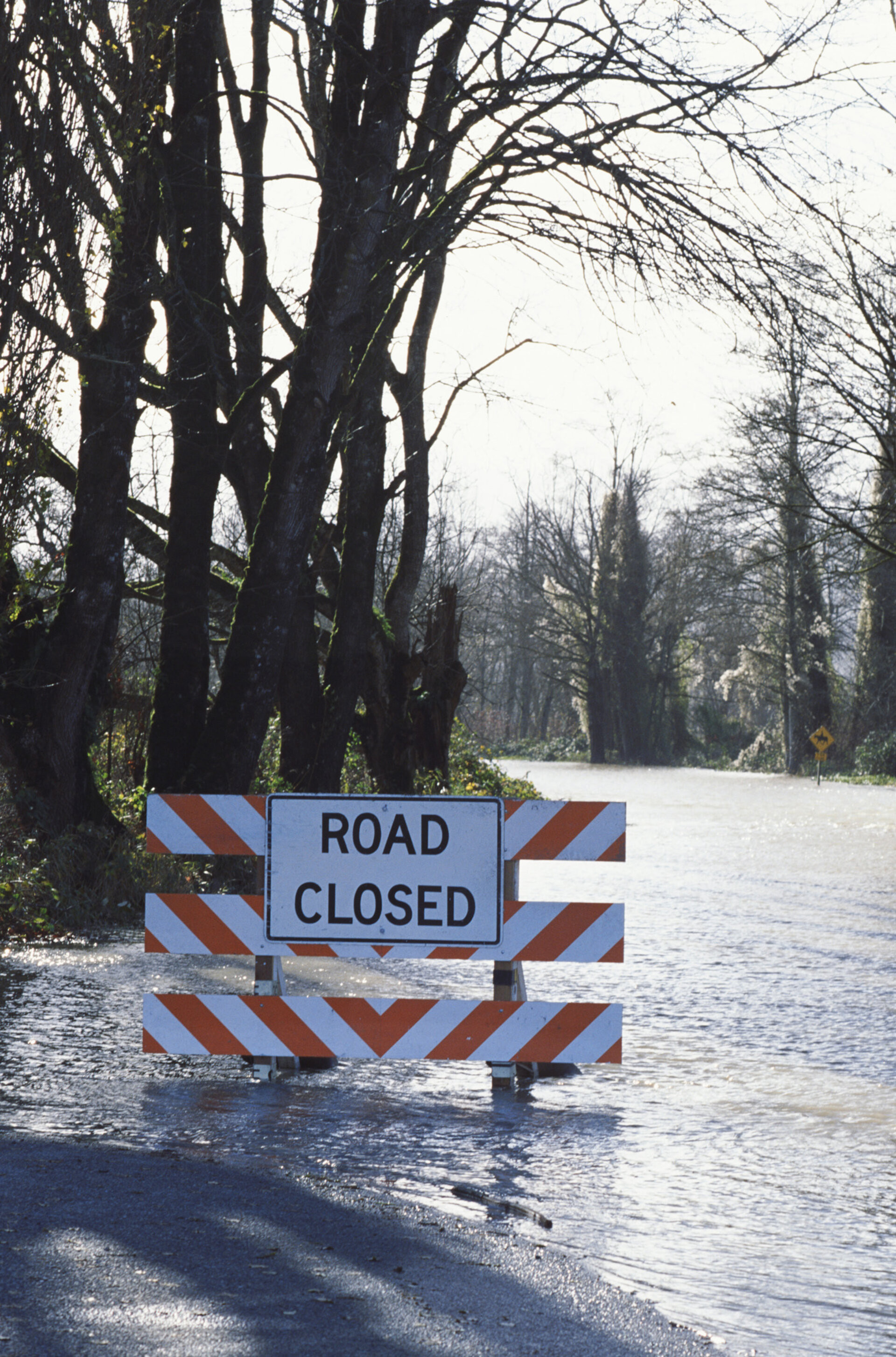 Hertfordshire Flooded: Roads Closed, Businesses Shut, and Watford Supermarket Forced to Close