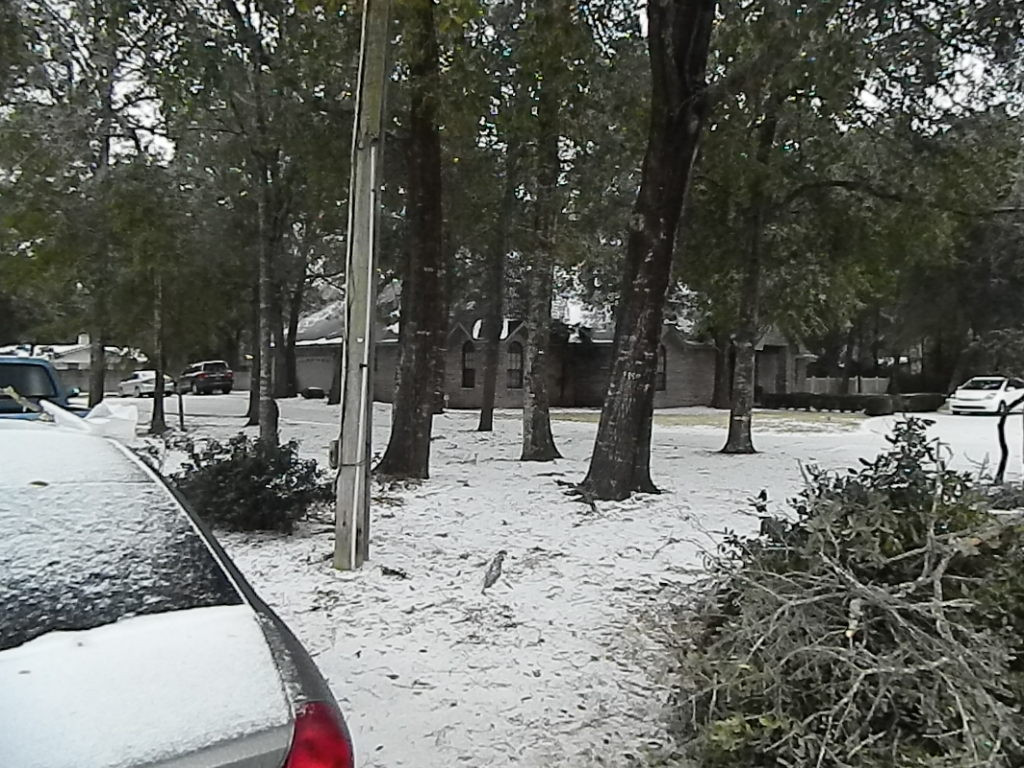 Historic Snowstorm Slams Florida: Record-Breaking Snowfall Expected in Tallahassee!