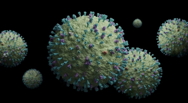 HMPV Virus Outbreak: Is a New Pandemic on the Horizon?