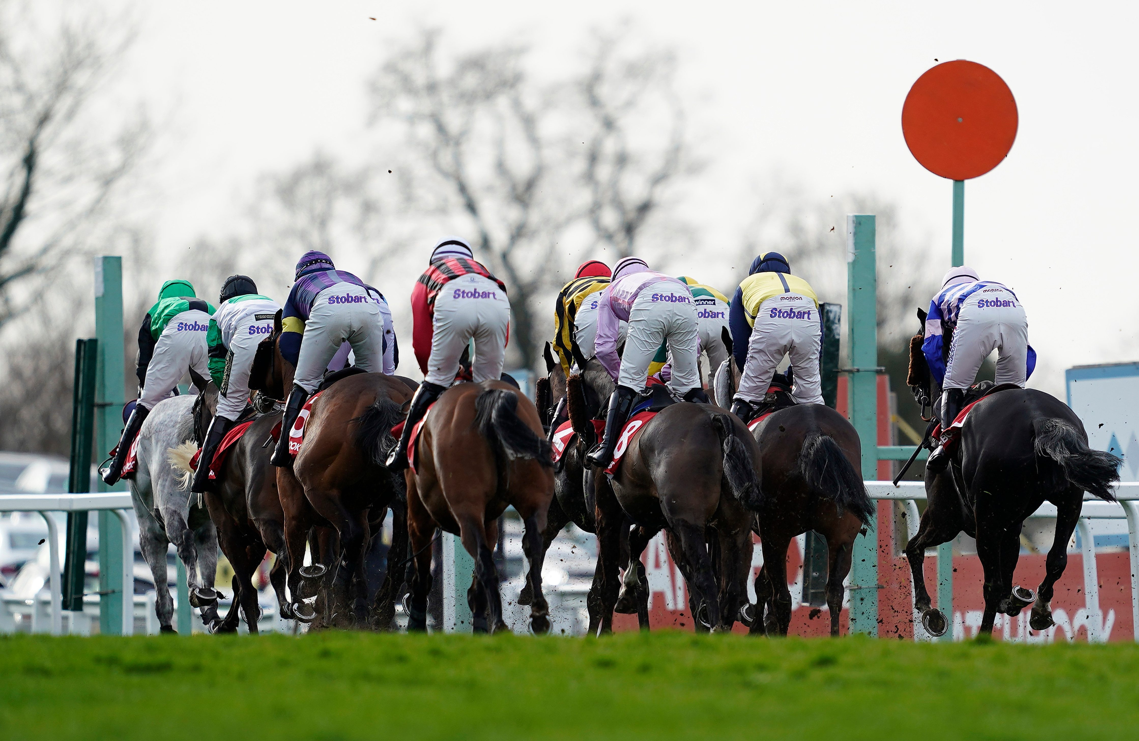 Horse Racing Tips: Tom Segal's Musselburgh Picks & Predictions for Today