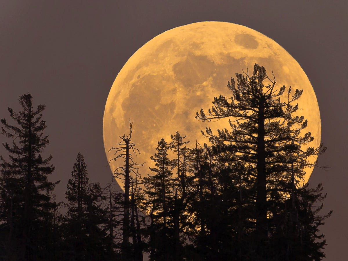 Hunter's Supermoon The Biggest & Brightest Full Moon of 2024 Lights Up