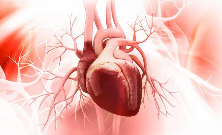 Hypertrophic Cardiomyopathy Therapeutics Market: A Booming Industry with a Promising Future