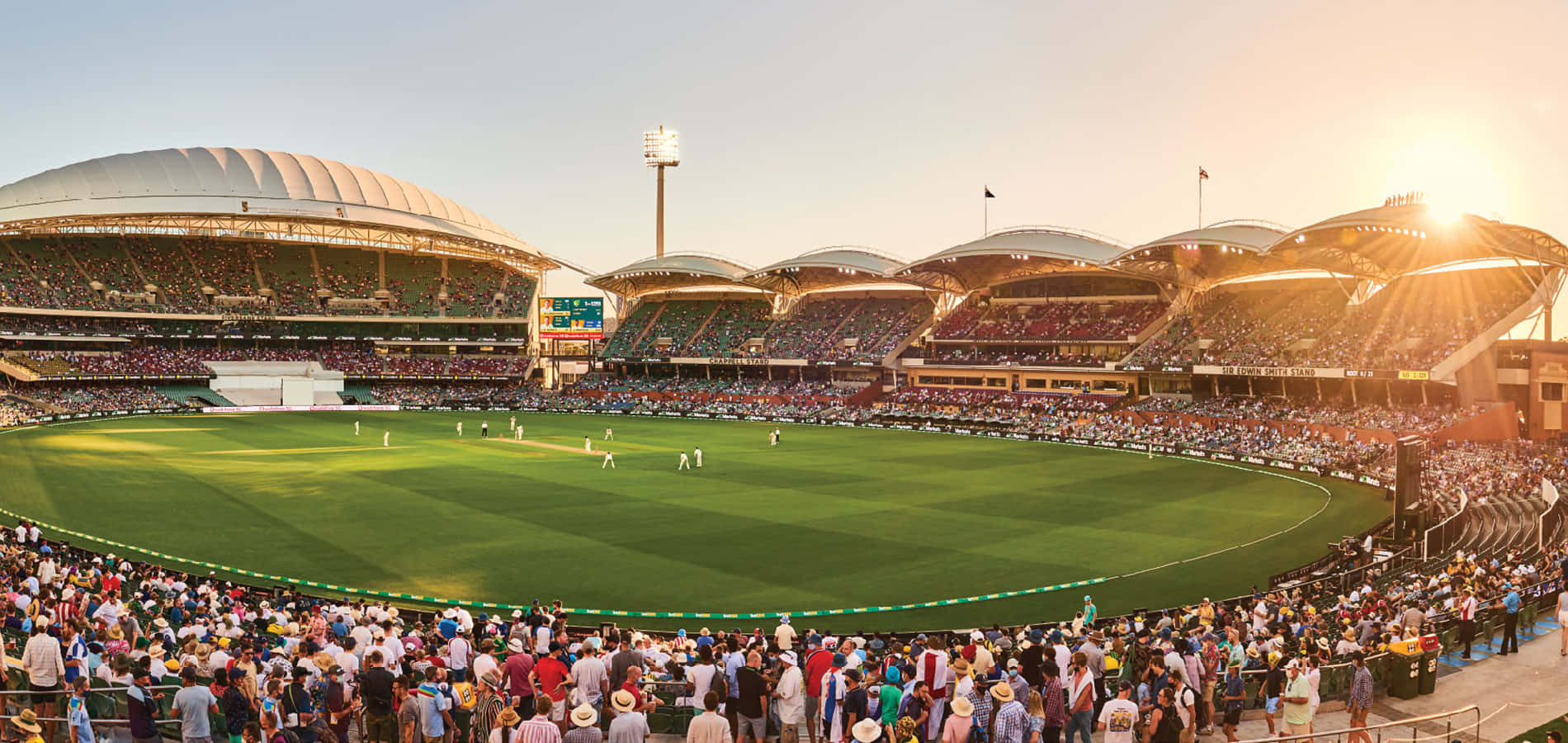 India's Pink-Ball Nightmare: Adelaide Oval Witnesses Another Shocking Collapse!