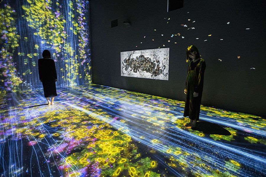 Interactive Digital Installations: Transforming Exhibitions into Immersive Experiences