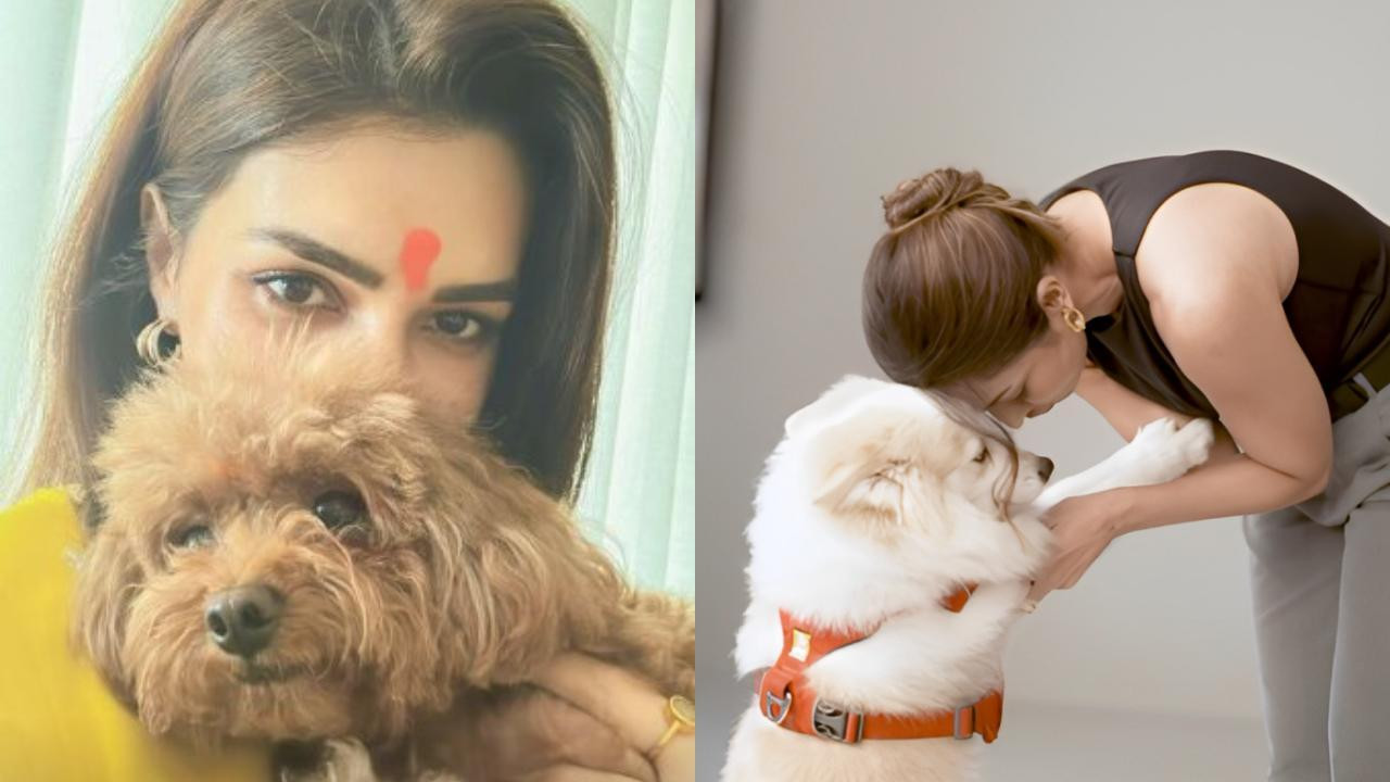 International Dog Day: Bollywood Celebrities Who Advocate for Adoption