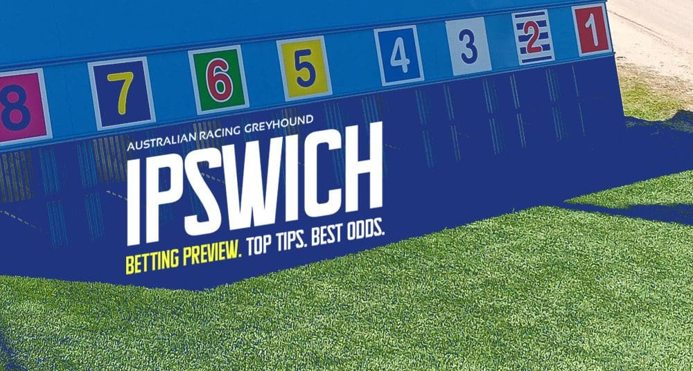 Ipswich Greyhound Racing Tips: Expert Predictions for Saturday's Races