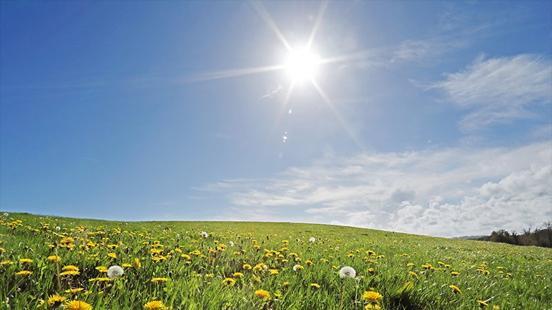 Ireland Weather Forecast: Warm and Sunny Weekend, But a Big Sting in the Tail