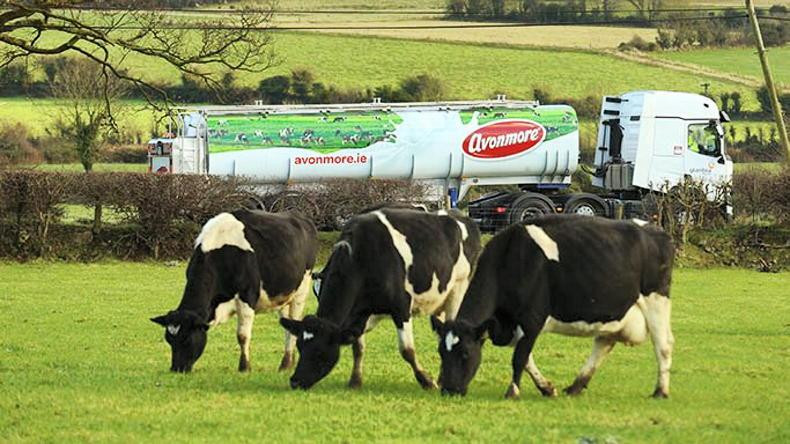 Irish Dairy Farmers Rejoice: Milk Prices Continue to Rise in September!