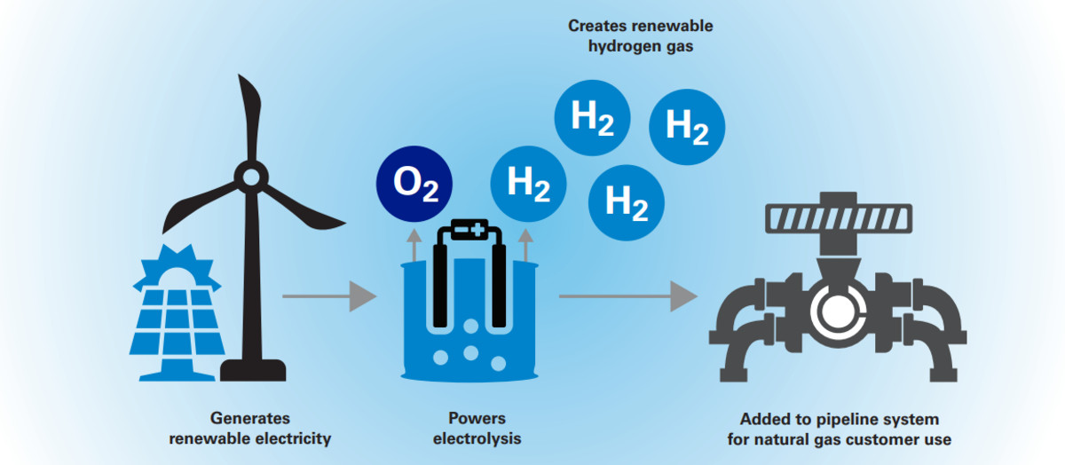 Is Hydrogen Really the Clean Energy Solution Singapore Needs? Here's What You Should Know