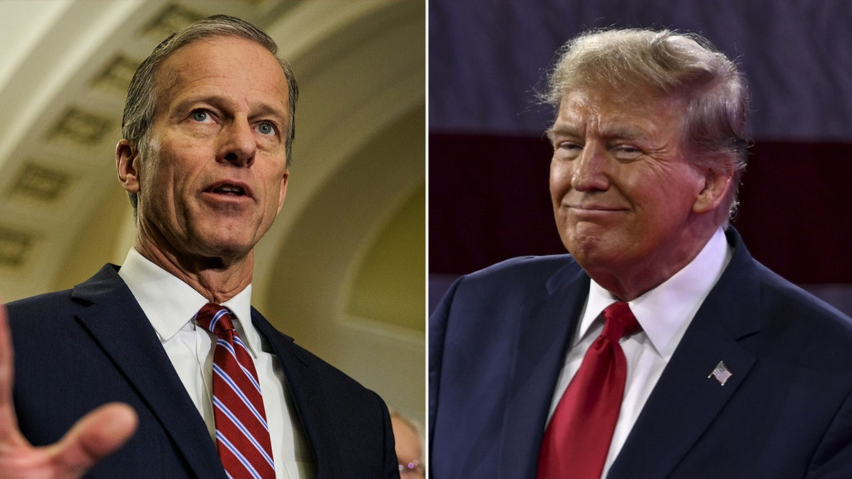 John Thune Elected as New Senate GOP Leader: Trump Ally Rick Scott Loses Bid