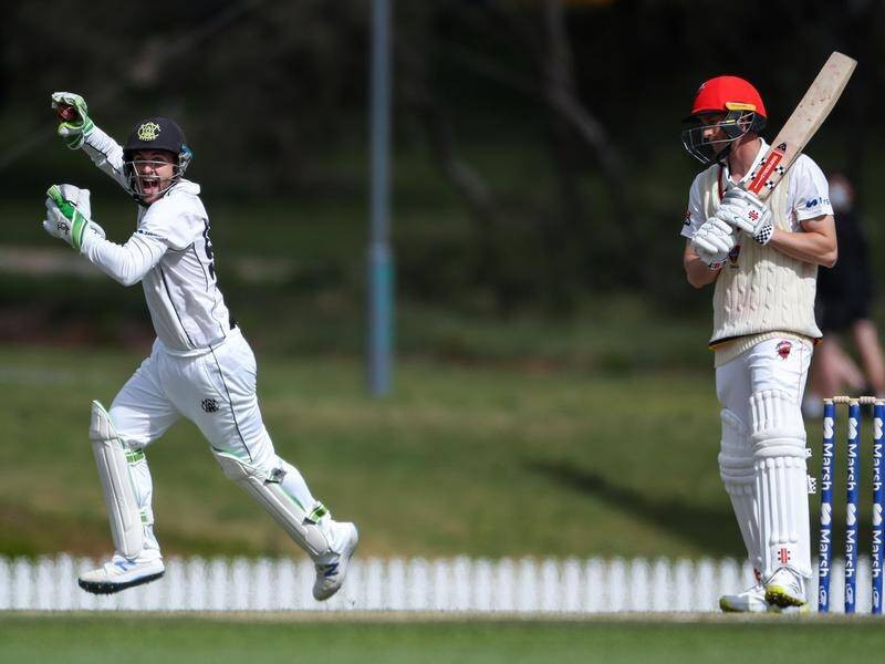 Josh Inglis: From WA Wicketkeeper to Aussie Test Debutant at No. 5!