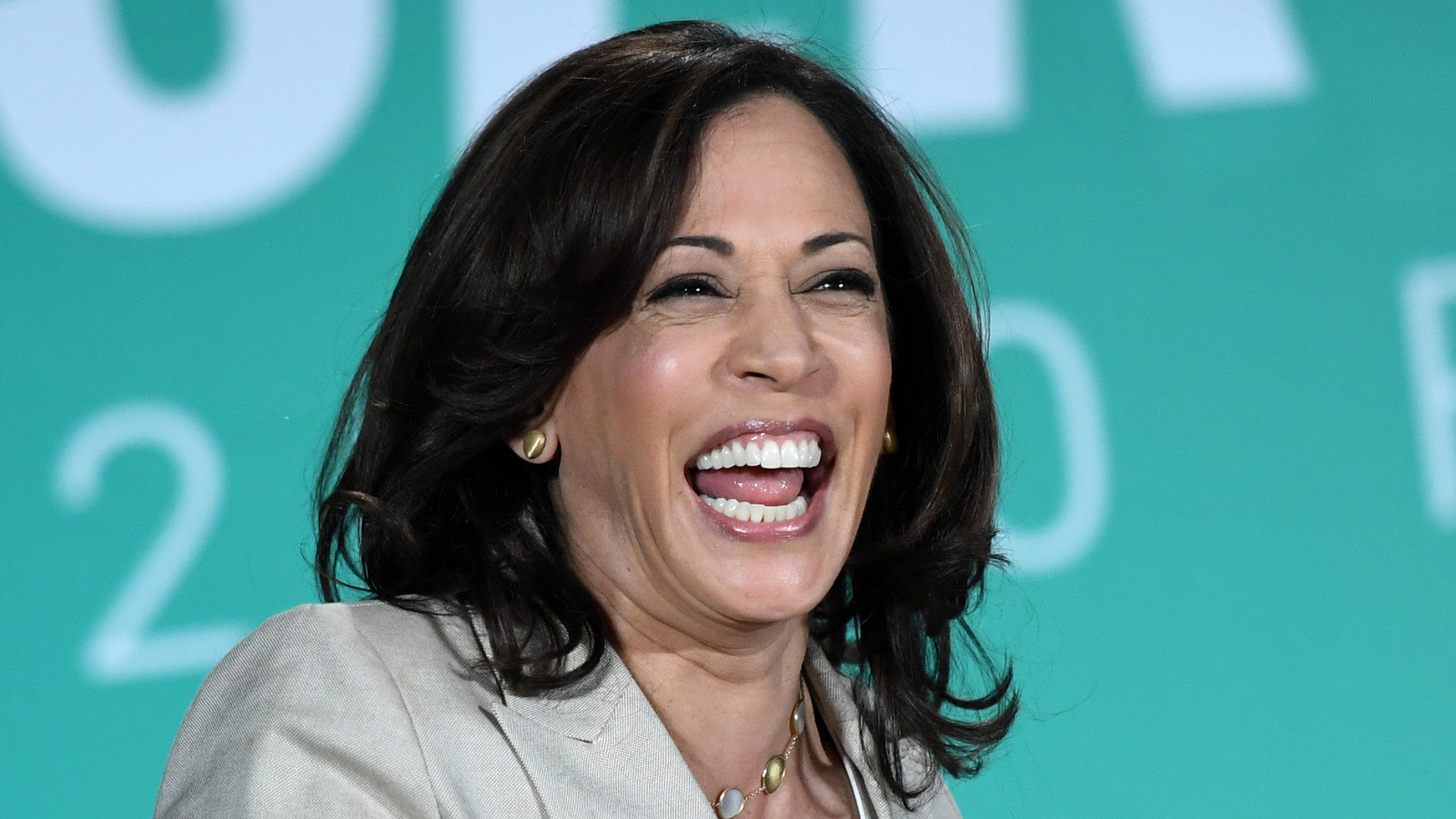 Kamala Harris Concedes to Trump: 'The Light of America's Promise Will Always Burn Bright'