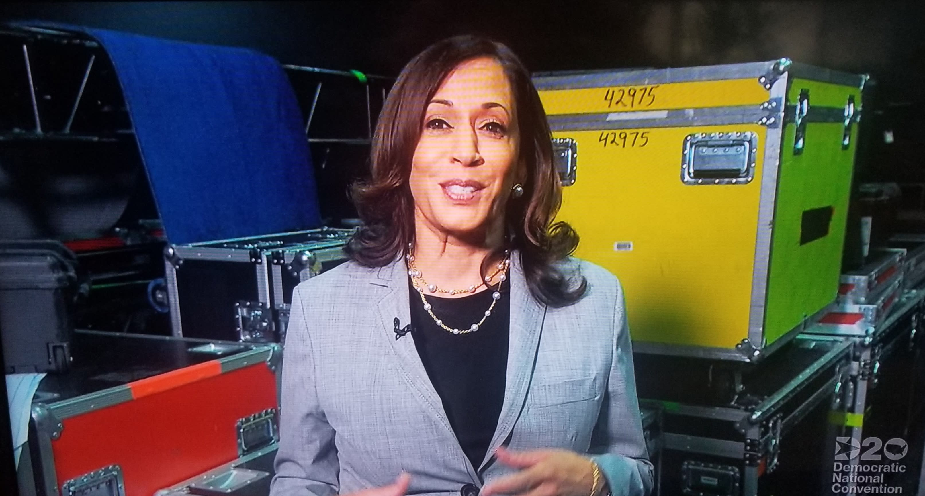 Kamala Harris Makes Surprise Appearance On 'SNL' - Did It Help Her ...