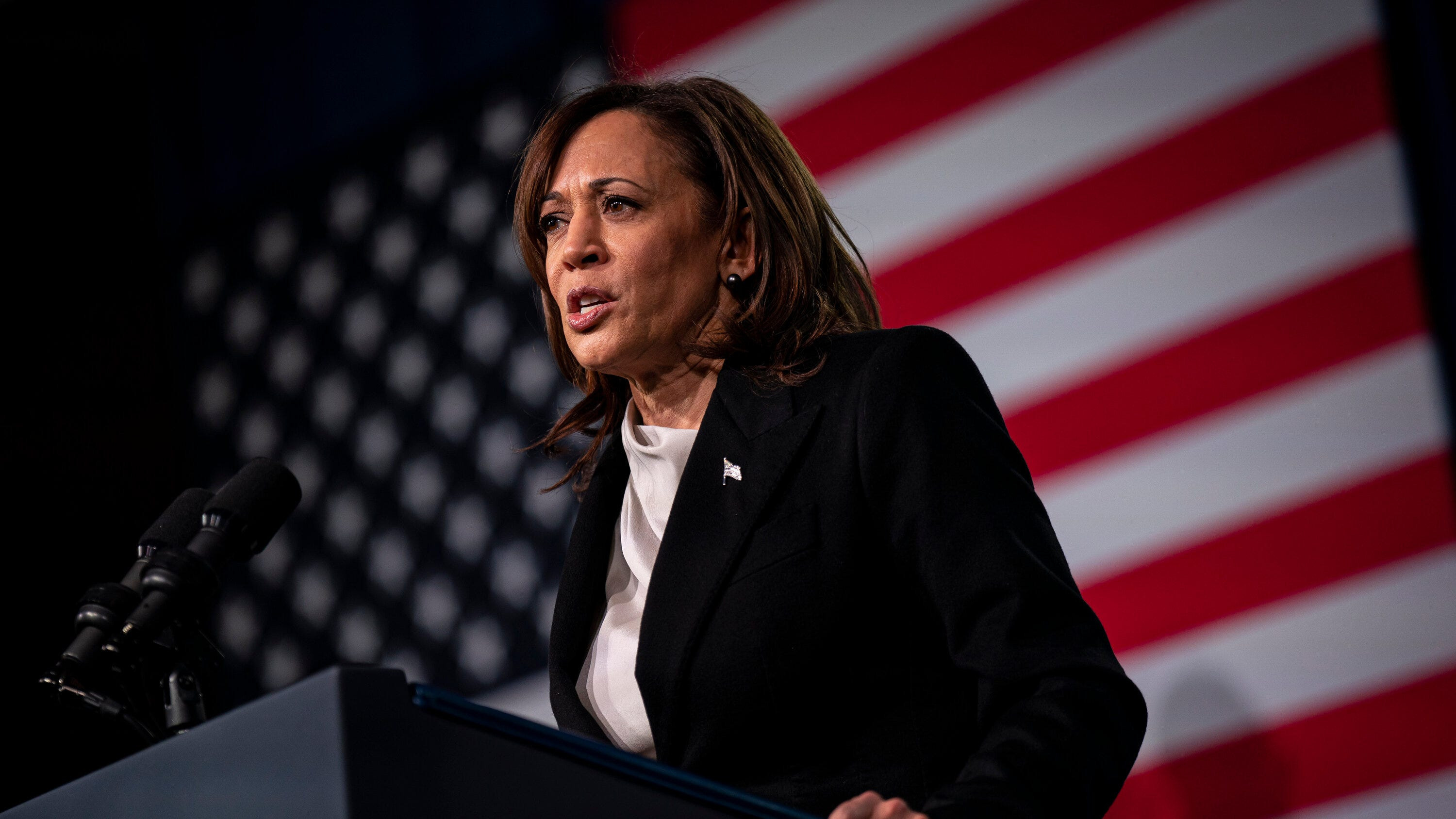 Kamala Harris' VP Picks: Who's Pro-Crypto? The 2024 Race Heats Up