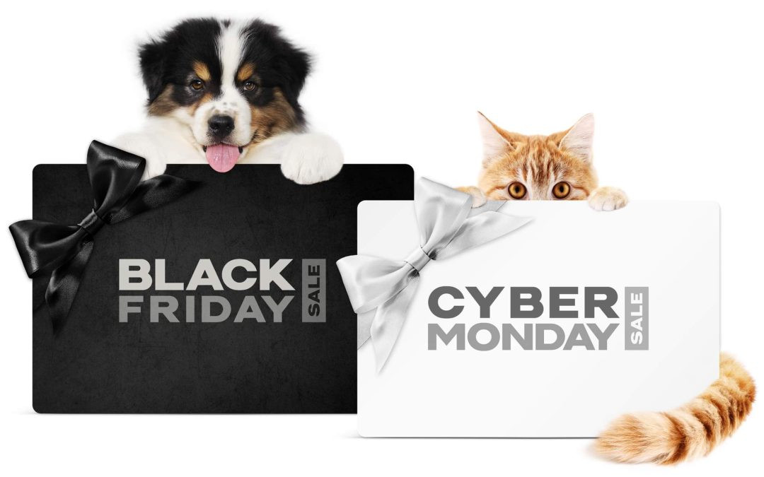 Last-Minute Black Friday & Cyber Monday Deals in Canada: Don't Miss Out!