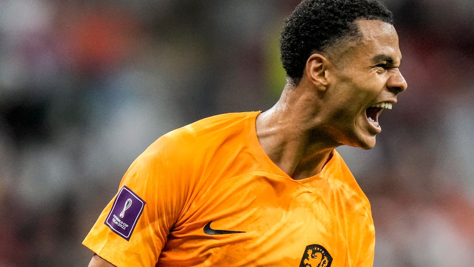 Liverpool Stars Shine in International Duty: Gakpo Nets for Netherlands, Seven Reds Feature in UEFA Nations League