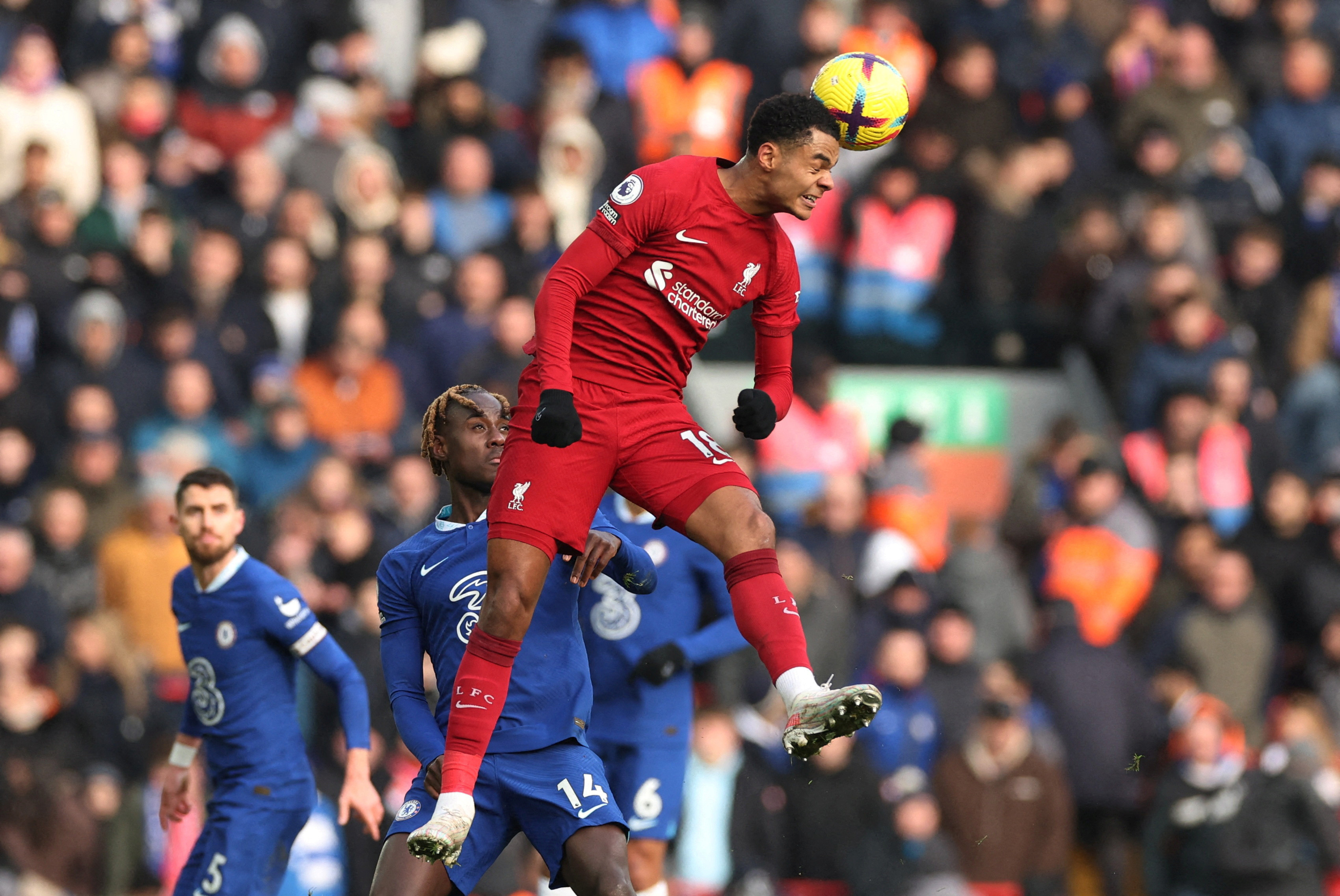 Liverpool's Gakpo Stars in Netherlands' Nations League Win: 7 Reds Feature in International Action