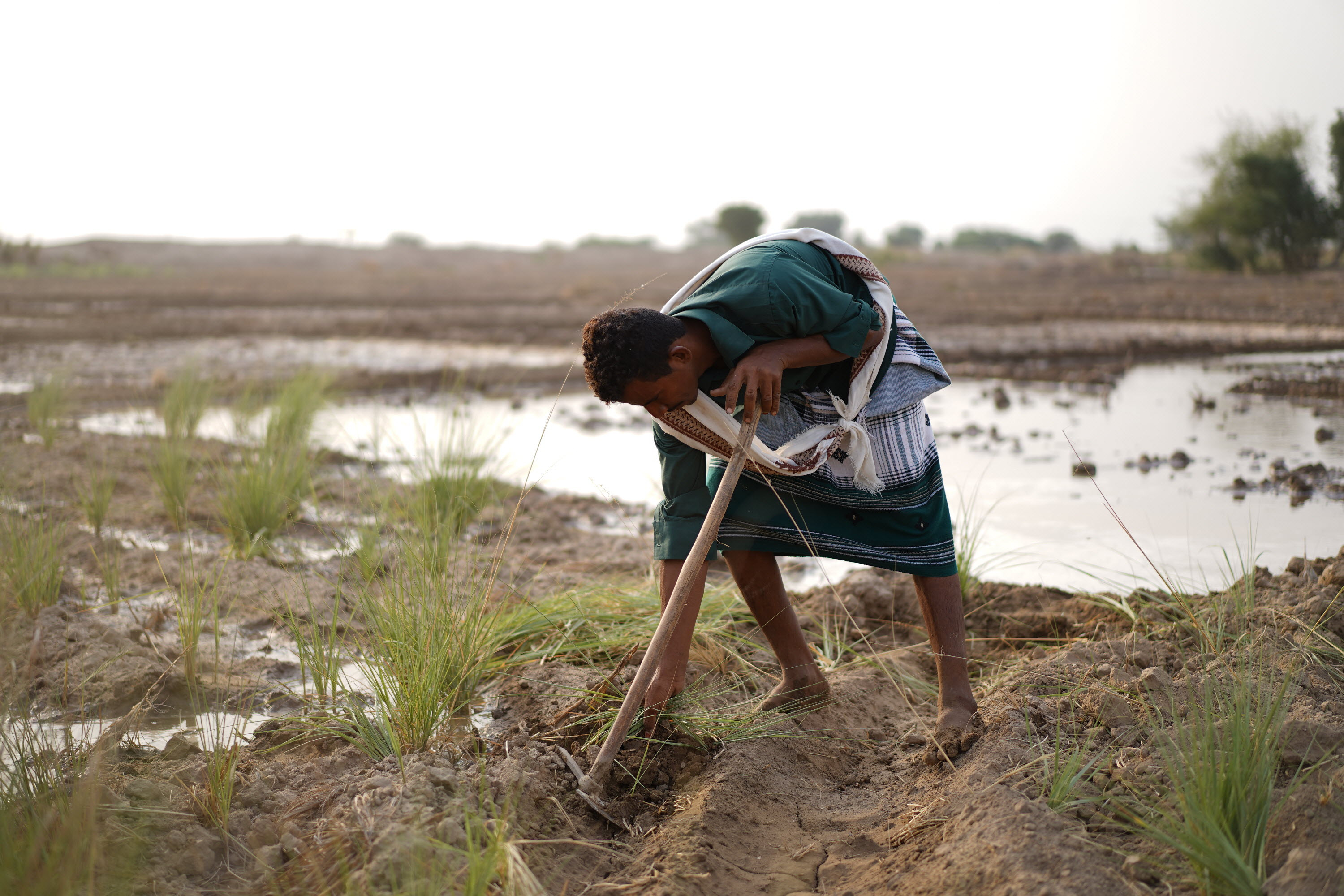 Lloyd's Partners with World Bank Agency to Boost Climate Resilience and Drive Sustainable Development