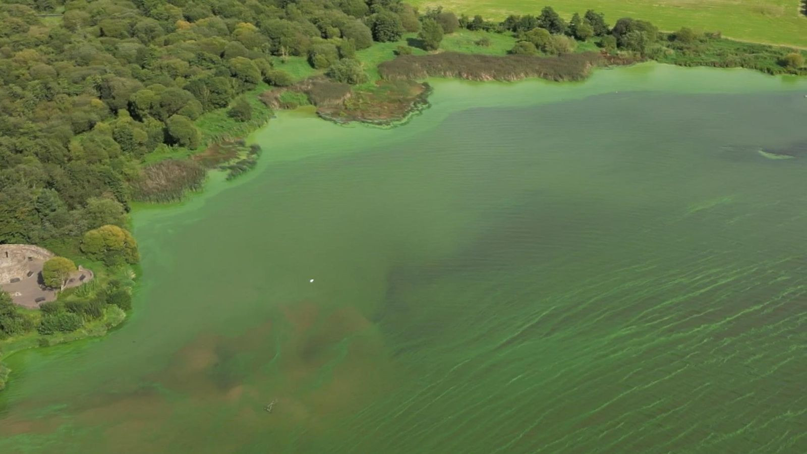 Lough Neagh Algae:  Worst Category Of Waterway Nutrient Pollution Found In Study