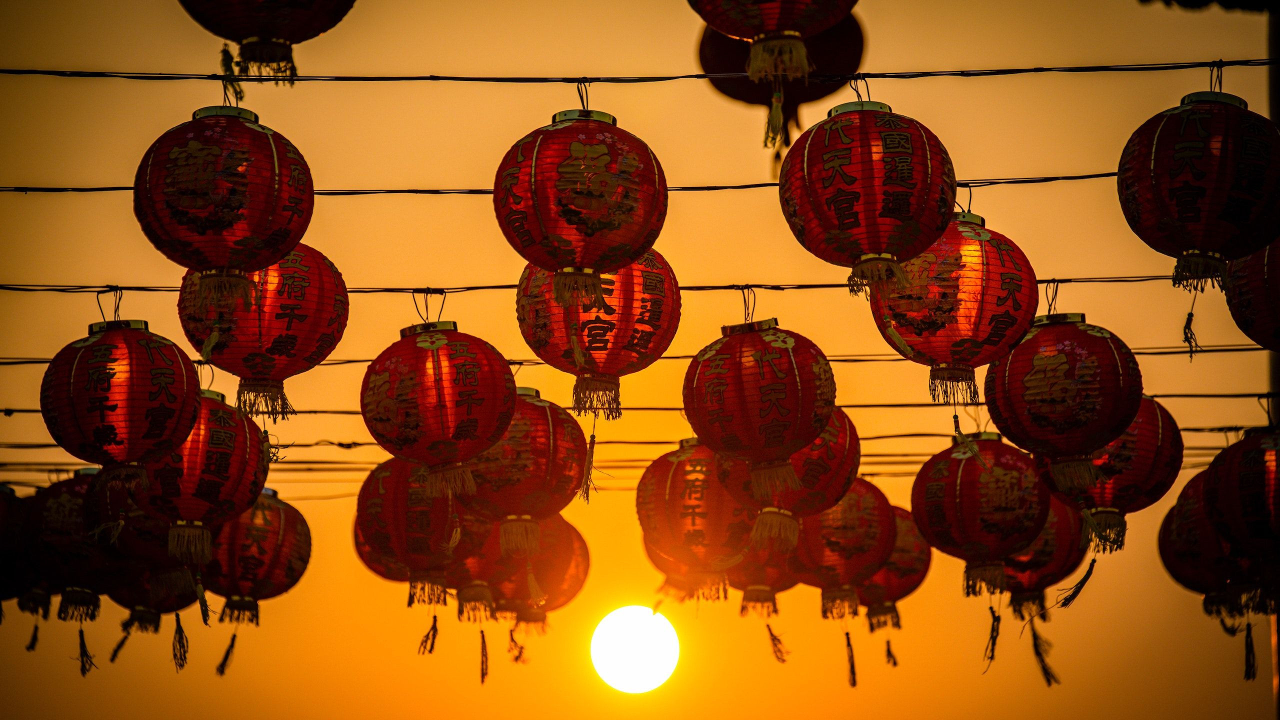 Lunar New Year 2025: Global Celebrations, Family Traditions, and Online Debates