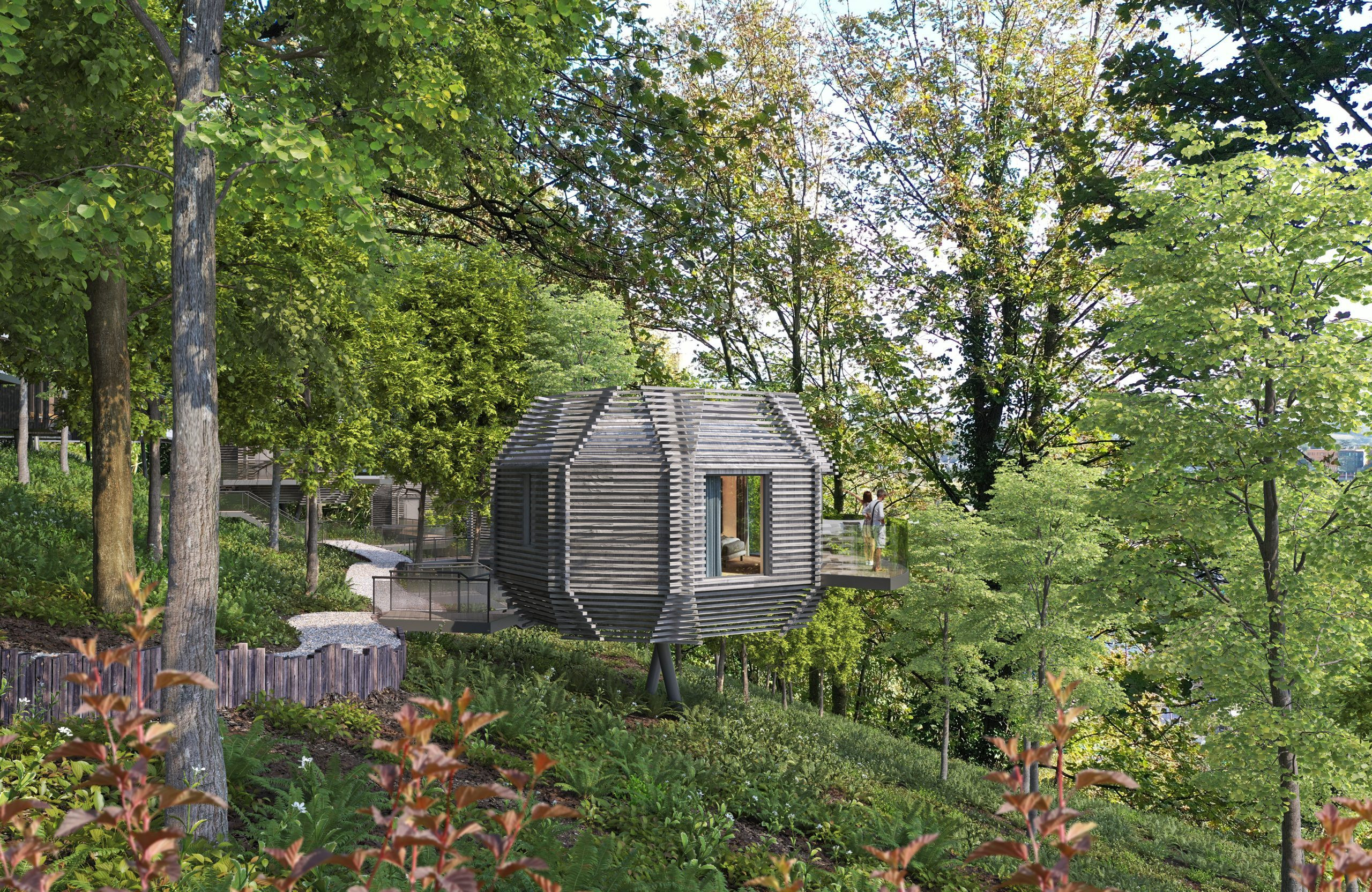 Luxury Meets Nature: Cork's Montenotte Hotel Unveils Exclusive Woodland Suites