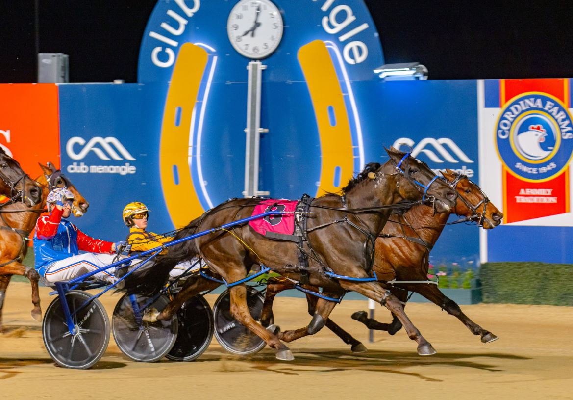 Mach Dan Eyes $1 Million Milestone in Len Smith Mile Showdown