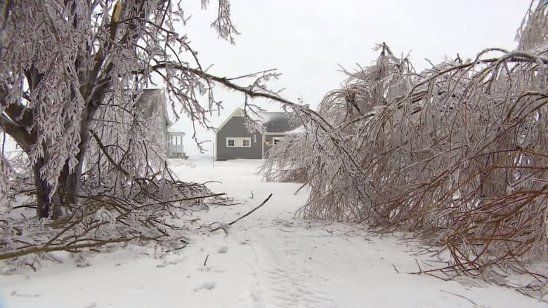 Major Ice Storm Warning: Quebec Braces for Freezing Rain, Heavy Snow, and Flooding!