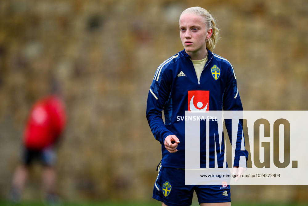 Manchester United Sign Swedish Defender Anna Sandberg in Record Transfer for a Swedish Women's Player