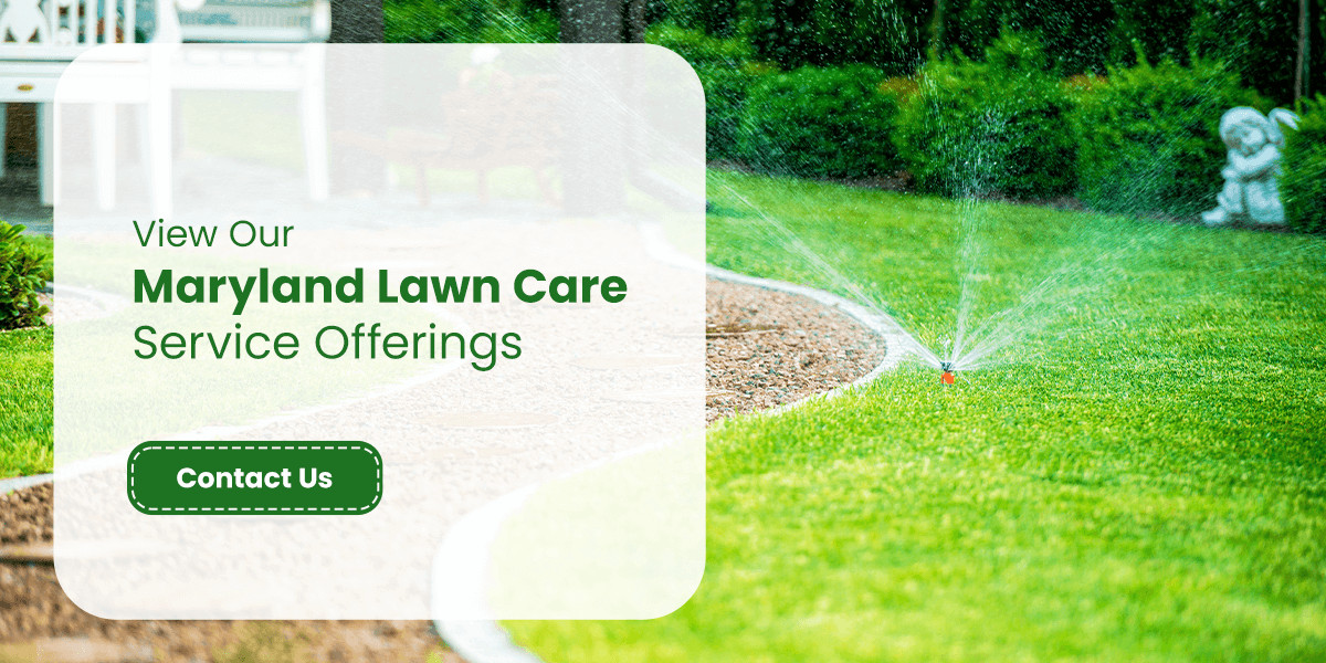 Maryland Lawn Care Company Embraces Sustainable Practices, Offering Environmentally Friendly Solutions