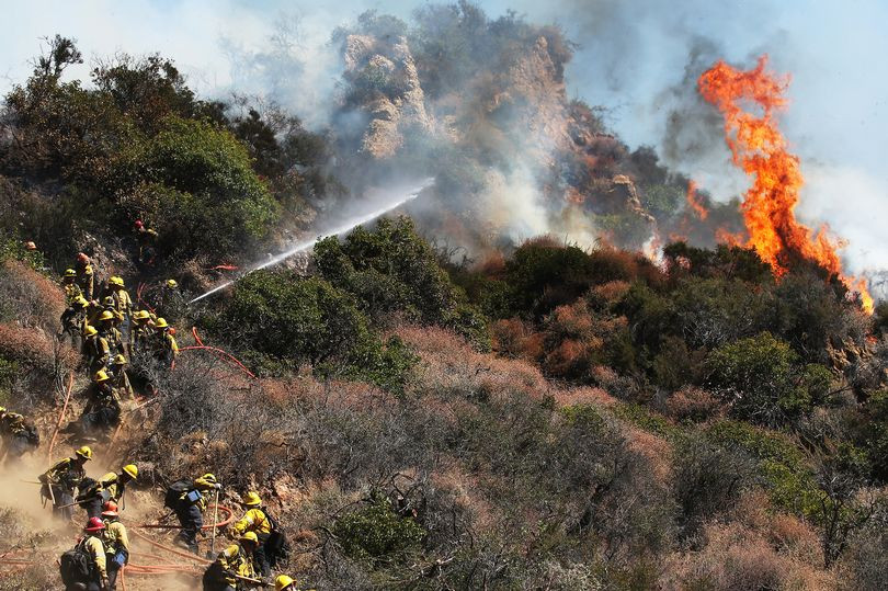 Massive Los Angeles Wildfires Force 49,000 Evacuations Amid Devastating Winds