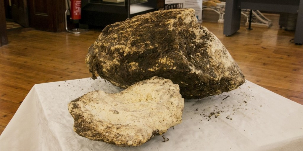 Massive Slab of Ancient Bog Butter Unearthed in Ireland: Is It Edible?