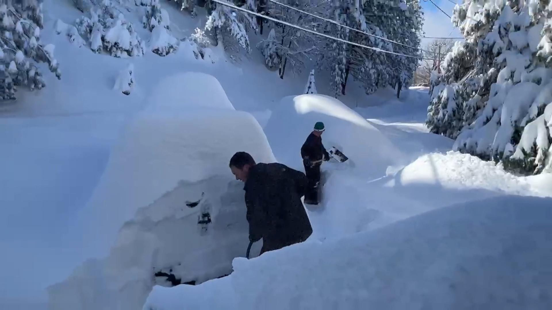 Massive Snowstorm Cripples Central Ontario: Schools Closed, Buses Cancelled!