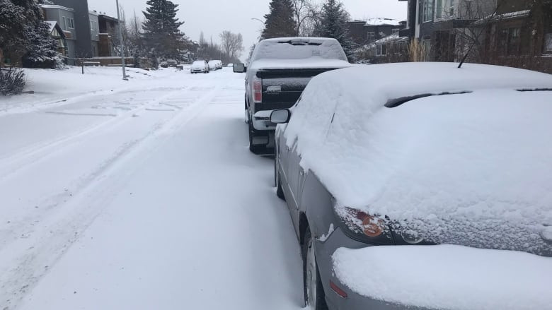 Massive Snowstorm Slams Southern Saskatchewan and Alberta: 25cm of Snow Expected!