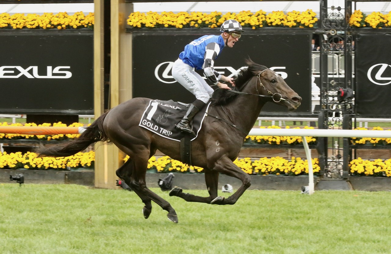 Melbourne Cup 2024: The International Brigade Takes on the Locals in a Thrilling Race for the Gold