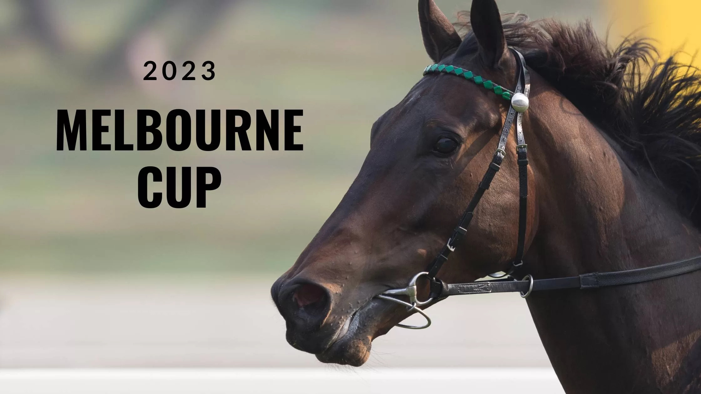 Melbourne Cup Dream Crushed: Crystal Black Out for 2024 After Setback